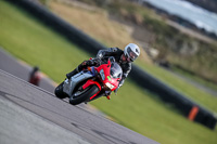 PJ-Motorsport-2019;anglesey-no-limits-trackday;anglesey-photographs;anglesey-trackday-photographs;enduro-digital-images;event-digital-images;eventdigitalimages;no-limits-trackdays;peter-wileman-photography;racing-digital-images;trac-mon;trackday-digital-images;trackday-photos;ty-croes
